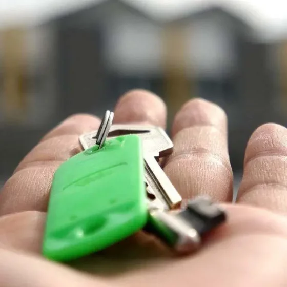 cafa_asbl_services_2025